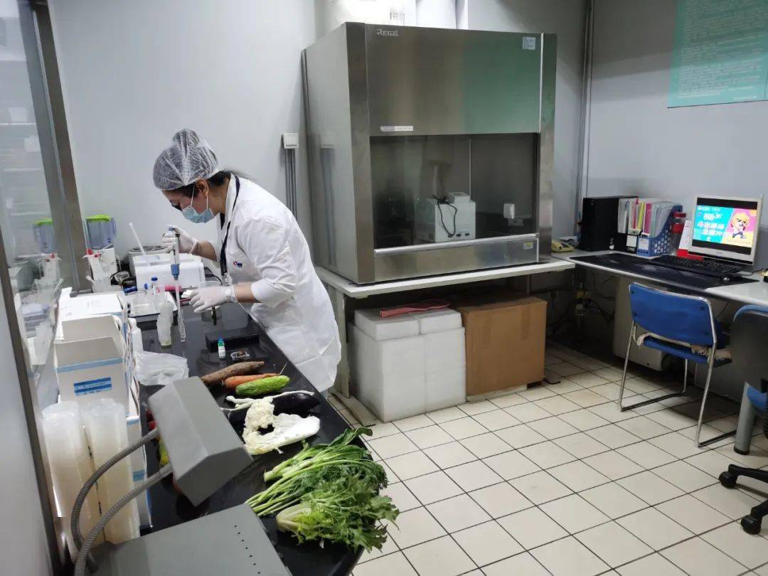 广西食品检测实验室装修方案